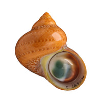 Vintage 14 carat gold Mata Biak ring